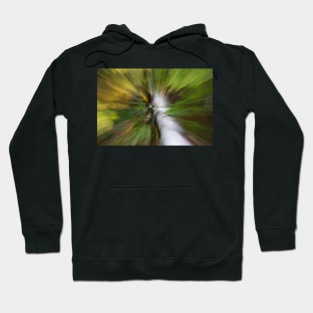 Fallen Tree Hoodie